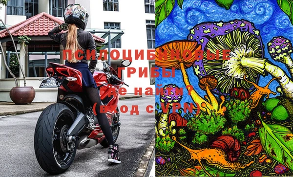 Альфа ПВП Вязники