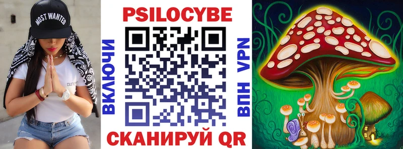 где купить наркотик  Горбатов  Псилоцибиновые грибы ЛСД 